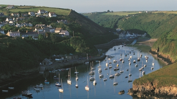 Winter Walks Winter Walks