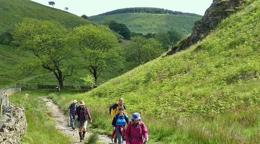 Winter Walks Winter Walks