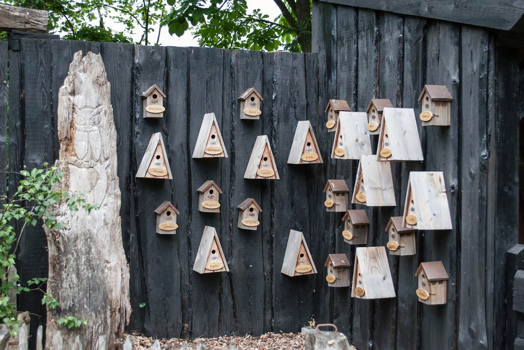 Decorating Your Fence Bird Boxes