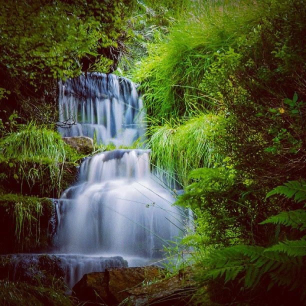 Winter Walks Winter Walks