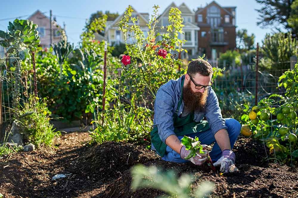 Hillsborough Garden Touch Ups Hillsborough Garden Touch Ups