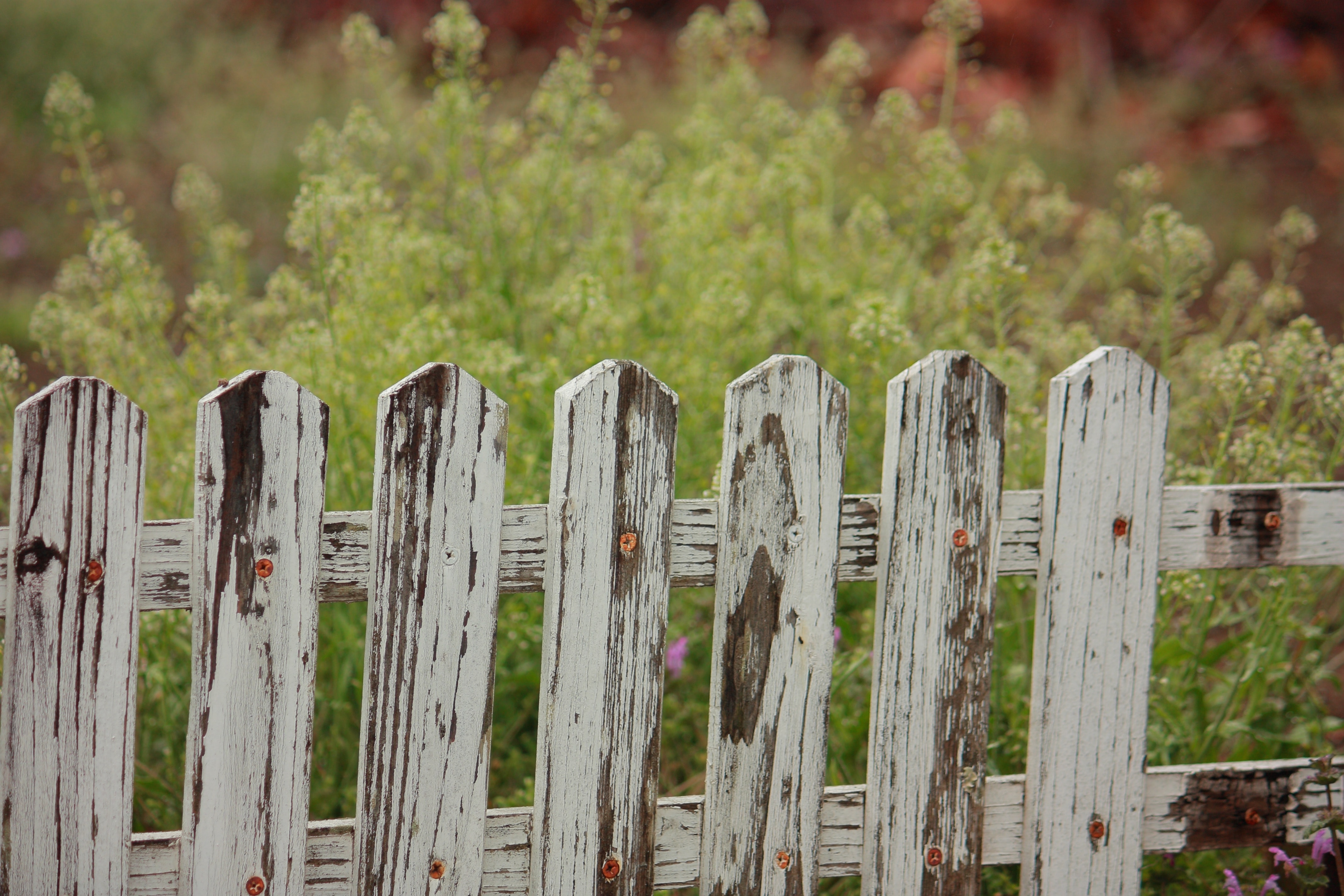 Why your fence falls in the wind? Weathered Fence