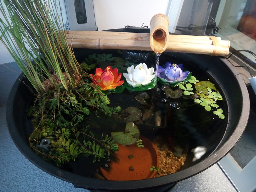 Picturesque Balconies Picturesque Balconies