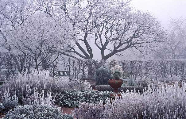 Winter Garden